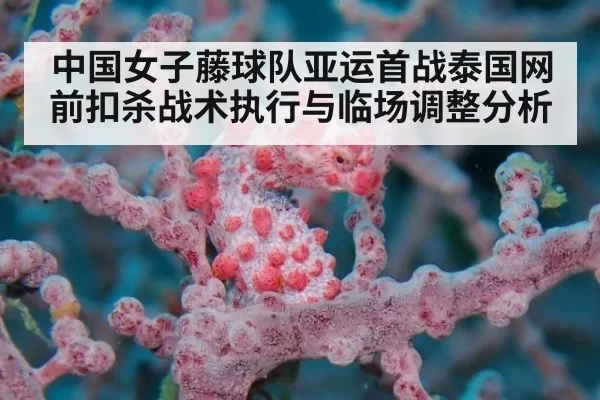 中国女子藤球队亚运首战泰国网前扣杀战术执行与临场调整分析